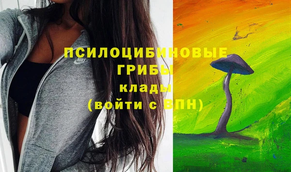 ECSTASY Балабаново